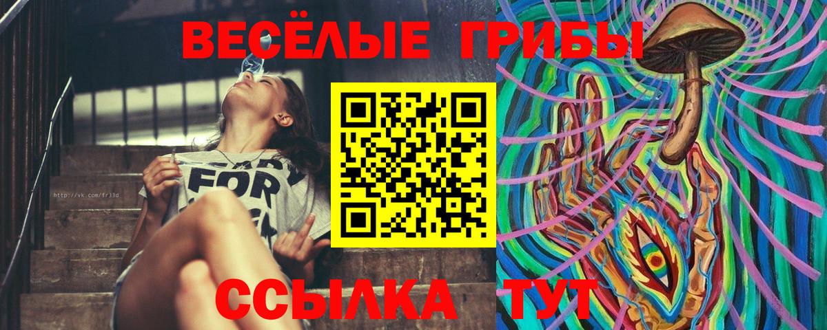 Верхняя Салда  Псилоцибиновые грибы MAGIC MUSHROOMS  Вход с VPN 