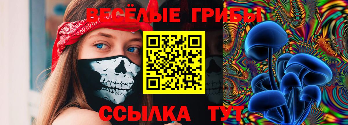 Галлюциногенные грибы GOLDEN TEACHER Верхняя Салда